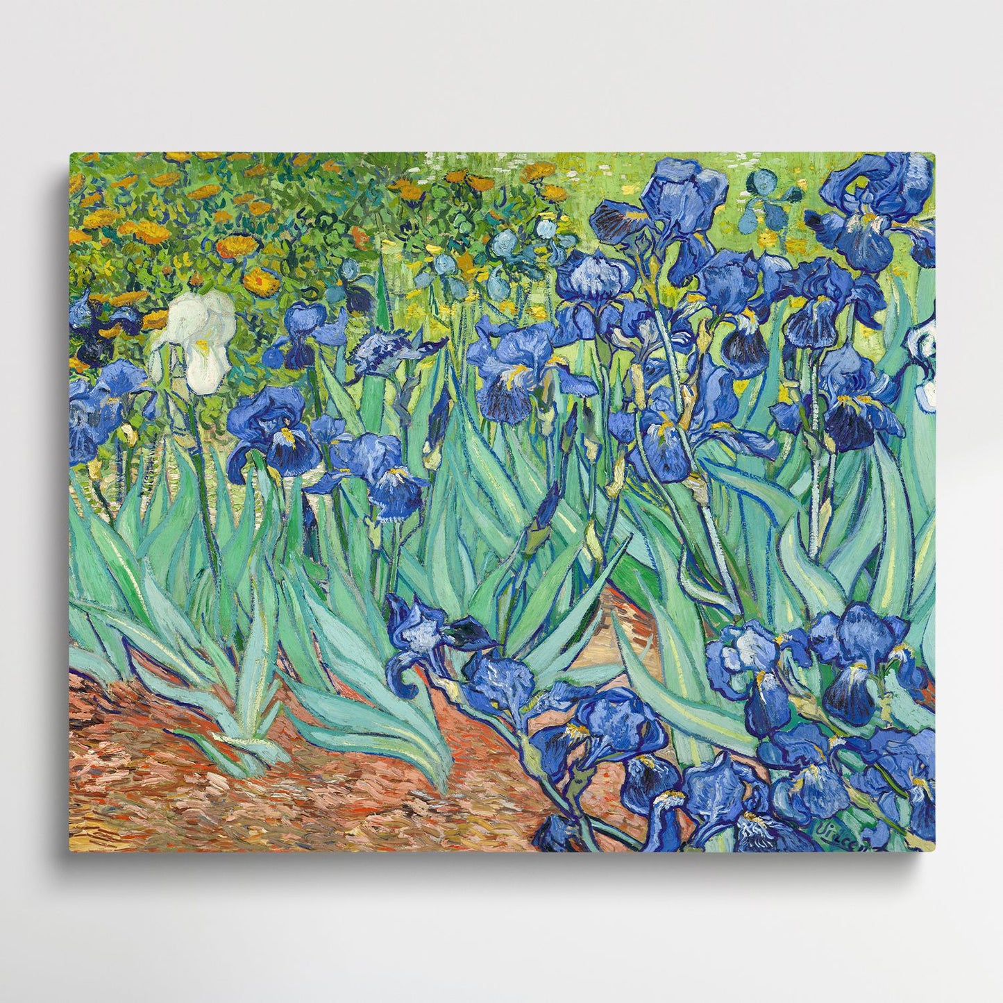 Irises - V2 - Paint by Numbers by Van Gogh